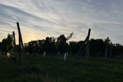 20230831_164822909_iOS